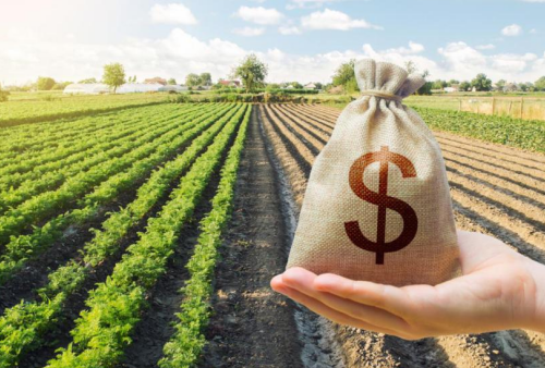 1703821413768833.png 借钱2.png