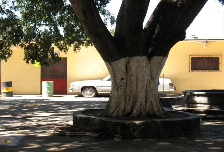 冠领律师代理北京昌平分家析产纠纷案胜诉 冠领律师代理北京昌平分家析产纠纷案胜诉