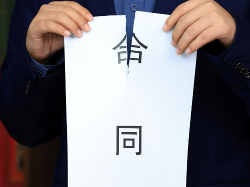 1775713006514710.jpg 5.jpg